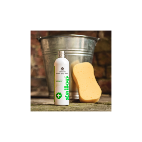 C&D Gallop Champú Antiséptico Medicado 500ml