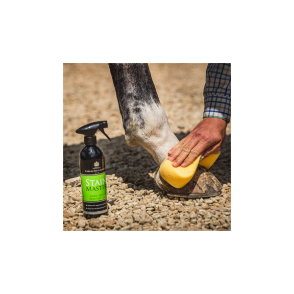C&D Stain Master Limpiador Manchas Spray 500ml