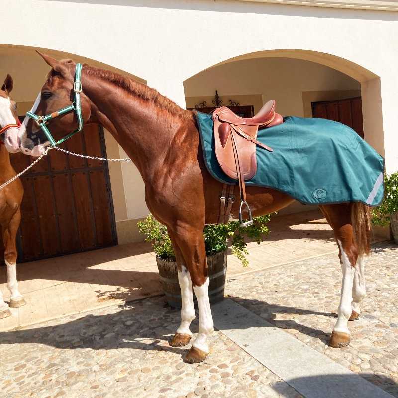 Manta Riñonera Impermeable con Forro Polar
