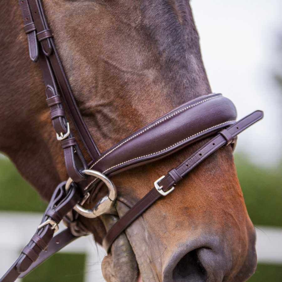 Cabezada para Filete Ergonómica con Muserola Acolchada - Imagen 3