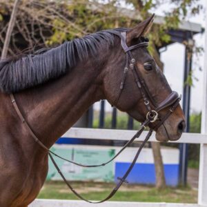 Cabezada para Filete Ergonómica con Muserola Acolchada